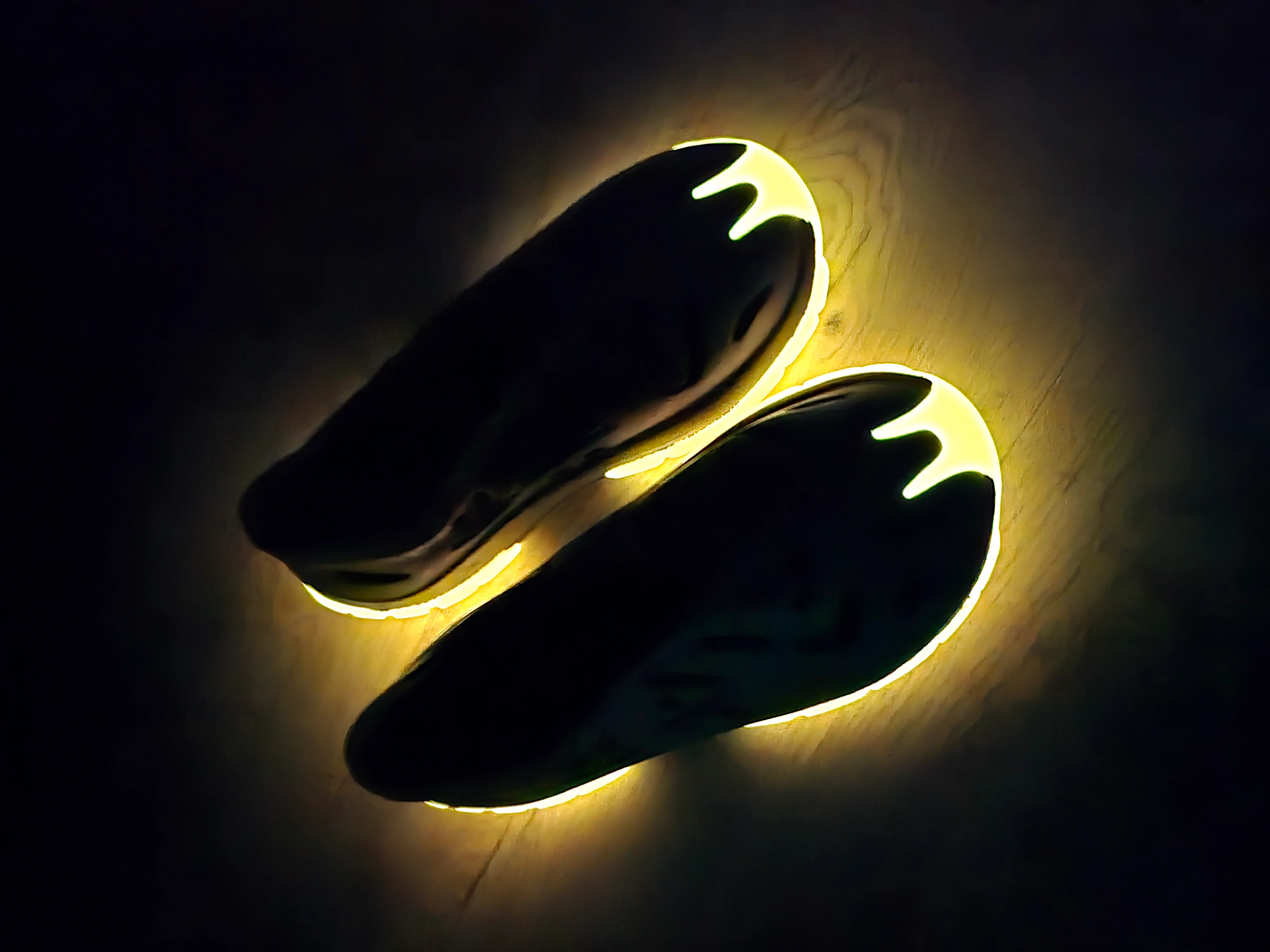 EVO FOAM TRAINER (Pigeon) - Image 3